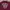 Indian Motorcycle Stripe Embroidered Logo Polo Shirt photo 3