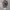 H Realtree Camo photo 6