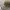 Hilmerson Rv & Marine Realtree Camo photo 3