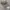 Hilmerson Rv & Marine Realtree Camo photo 1