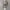 Hilmerson Rv & Marine Realtree Camo photo 7