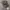 SP Realtree Camo photo 1