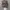 SP Realtree Camo photo 2