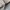Work Jacket Harrington Casual Outter Boxy Fit By WHO.AU Polo photo 6