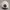 Nike Sportswear Casual Hat Pria white photo 3