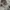 Japanese brand Casual Sweater Pria white photo 6