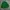 Japanese brand Casual Sweater Pria green photo 4
