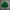 Japanese brand Casual Sweater Pria green photo 7