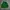 Japanese brand Casual Sweater Pria green photo 1