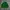 Japanese Brand Casual Sweater Pria Green