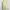DISNEY green floral babydoll tanktop bra  photo 2