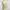 WHO’S WHO CHICO green white striped ribbed knit tanktop bra photo 2