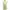 WHO’S WHO CHICO green white striped ribbed knit tanktop bra photo 1