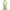 WHO’S WHO CHICO Green White Striped Ribbed Knit Tanktop Bra