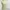 WHO’S WHO CHICO green white striped ribbed knit tanktop bra photo 3