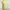 UNIQLO yellow green forest scene print tanktop bra whimsical photo 3