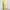 UNIQLO yellow green forest scene print tanktop bra whimsical photo 2