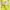 bright lime green lace eyelet trim detail tanktop bra photo 4