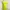 bright lime green lace eyelet trim detail tanktop bra photo 3