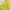 bright lime green lace eyelet trim detail tanktop bra photo 5