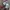 Emporio Armani Knit Flowers Pattern Authentic photo 4
