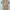 Emporio Armani Knit Flowers Pattern Authentic photo 2