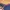 TSHIRT LIMITED Toro Rosso F1 Team Mens Blue T-Shirt 2019 photo 2