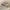 Burberry Classic Women Trousers Pants photo 5
