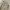 Burberry Classic Women Trousers Pants photo 3