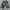 Jorts sun fade grey  photo 1