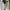 Sepatu Converse Chuck Taylor Optical white photo 4