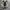 SALOMON XT 6 S-LAB photo 3
