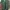 Everbest, biondi, brown uk.40 photo 8