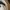Never Ending Cities Two-Tone Suede Snapback by H&M photo 8