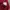 POLO SHIRT RUGBY LACOSTE BURGUNDY  photo 4
