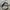 Sunday skate club super wide cargo balloon pants photo 9