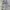 Sunday skate club super wide cargo balloon pants photo 8