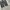 Ootj jeans baggy pants photo 9