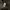 Activ Jacket Frizm Work  photo 10