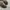 NB 204L Mushroom Arid Stone photo 6