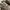 NB 204L Mushroom Arid Stone photo 2