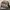 NB 204L Mushroom Arid Stone photo 1