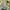 Snowboard Jacket Gorpcore Unlimited G photo 7
