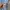 Adidas x Oasis Tour Clear Sky Blue KT3477 photo 4
