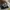 kacamata normal Photocromic warna hitam silver Nikko eyewear photo 1