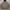 Thisisneverthat Hoodie  photo 1