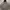 Thisisneverthat Hoodie 