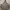 Thisisneverthat Hoodie 