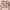 Long Sleeve Pink Coquette
