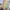 Patchwork Multicolor boho photo 2